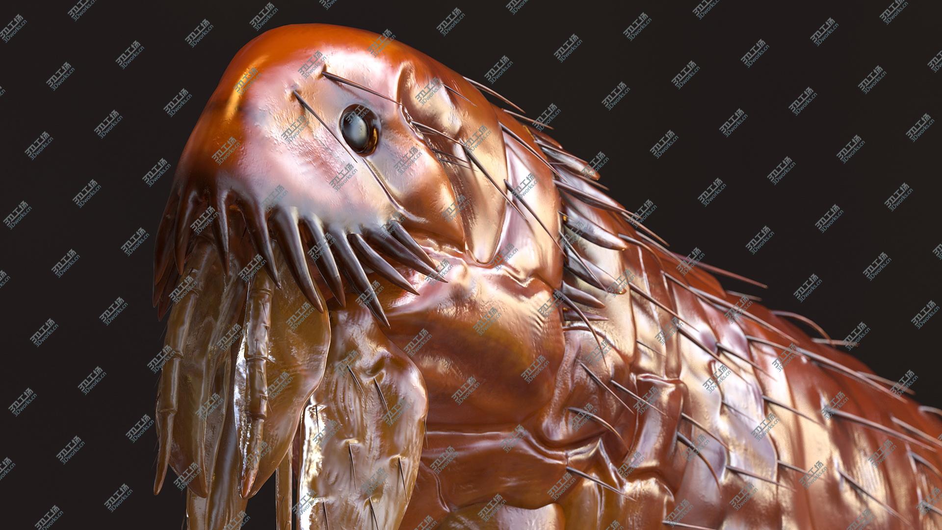 images/goods_img/202104093/Flea Standing Pose model/4.jpg